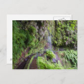 Madeira - Levada do Rei Postkarte (Vorne/Hinten)