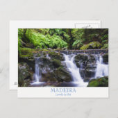 Madeira - Levada do Rei Postkarte mit Text (Vorne/Hinten)
