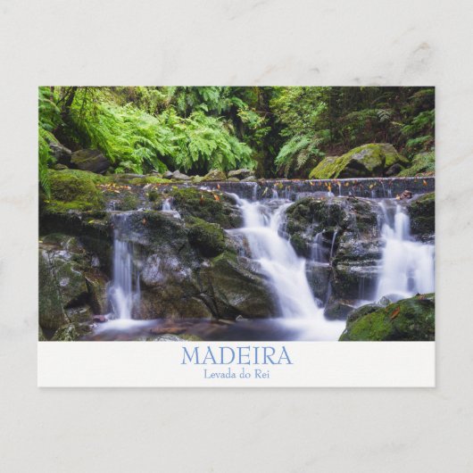 Madeira - Levada do Rei Postkarte mit Text (Vorderseite)