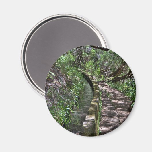 Madeira Road Way Magnet (Vorderseite/Rückseite)