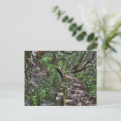 Madeira Road Way Postkarte (Stehend Vorderseite)