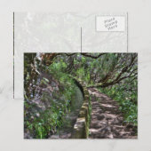 Madeira Road Way Postkarte (Vorne/Hinten)