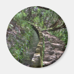 Madeira-Straßen-Weise Magnet