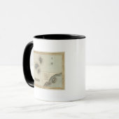 Madeira Tasse (Vorderseite Links)
