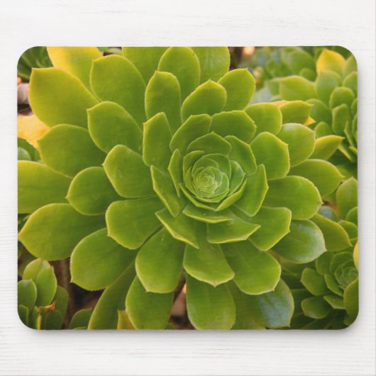 Madeiras grüne Umarmung Mousepad (Vorne)