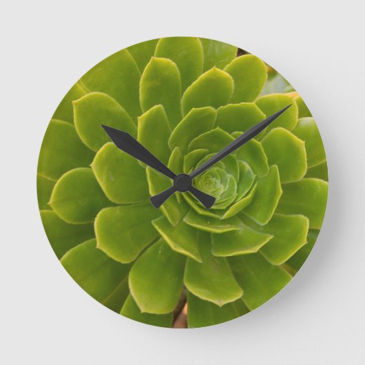 Madeiras grüne Umarmung Runde Wanduhr (Vorderseite)