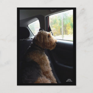 Madeleine übernimmt die Laufwerks-Postkarte Postkarte