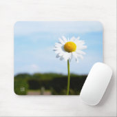 Madelief rechtop geisoleerd in de natuur. mousepad (Mit Mouse)
