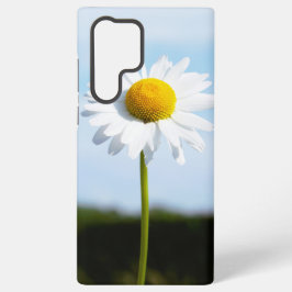 Madelief rechtop geisoleerd in de natuur. samsung galaxy hülle