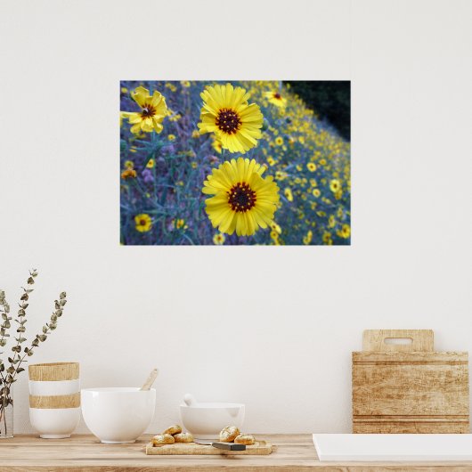 Madia-Blume im Sequoia-Nationalpark Poster (Küche)