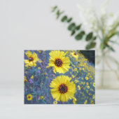 Madia-Blume im Sequoia-Nationalpark Postkarte (Stehend Vorderseite)