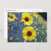 Madia-Blume im Sequoia-Nationalpark Postkarte (Vorne/Hinten)