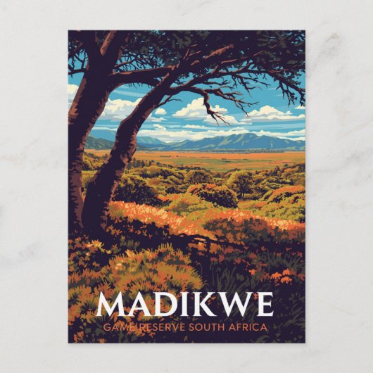 Madikwe-Reservat Südafrika Postkarte (Vorderseite)