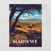 Madikwe Reserve South Africa Postkarte (Vorderseite)