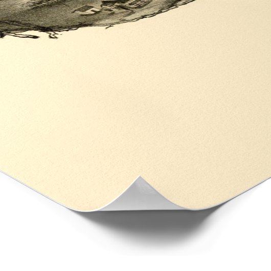 Madison, CT Panoramic Map - 1881 Poster (Ecke)