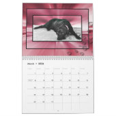 Madison das schwarze Labrador Kalender (Mär 2026)