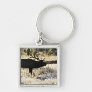 Madison-Fluss, Yellowstone NP, Wyoming, USA Schlüsselanhänger