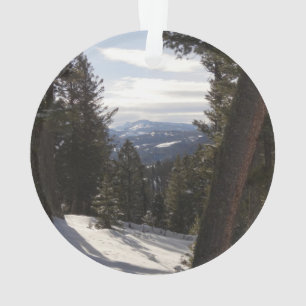 Madison Mountains im Winter in Montana Ornament