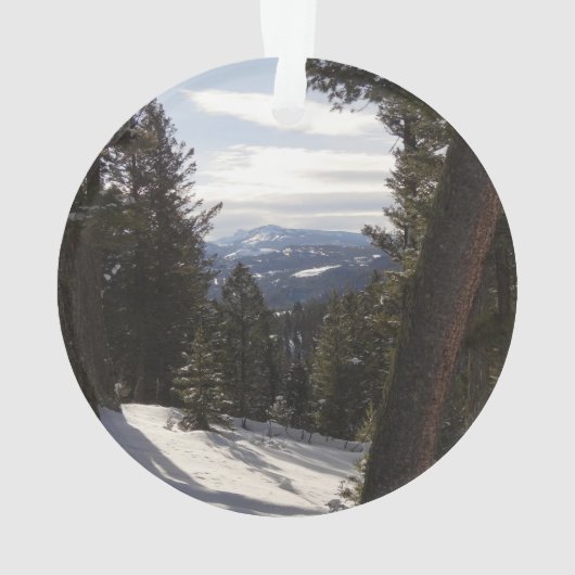 Madison Mountains im Winter in Montana Ornament (Rückseite)