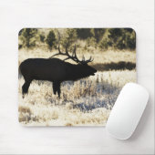 Madison River, Yellowstone NP, Wyoming, USA Mousepad (Mit Mouse)