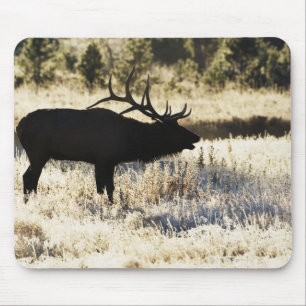 Madison River, Yellowstone NP, Wyoming, USA Mousepad