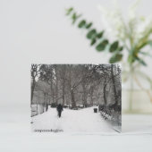 Madison Square Garden Postkarte (Stehend Vorderseite)