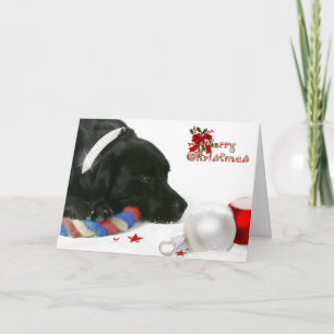 Madison the Black Labrador Christmas Card Feiertagskarte