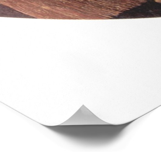 Madonna della Sedia Poster (Ecke)