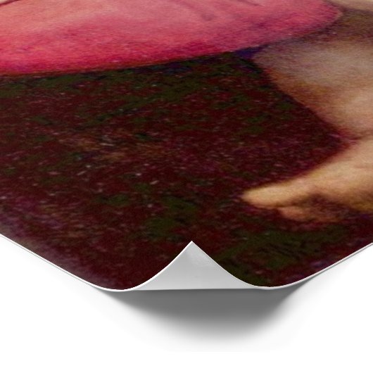 Madonna della Tenda - Raphael Poster (Ecke)