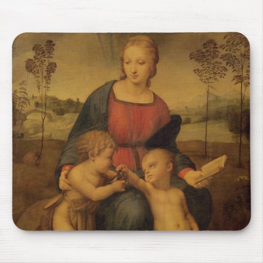 Madonna des Goldfinch, c.1506 Mousepad (Vorne)