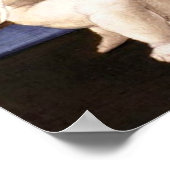 Madonna Esterhazy - Raphael - c1508 Poster (Ecke)