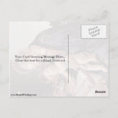 Madonna mit dem Buch von Sandro Botticelli Postkarte (Rückseite)