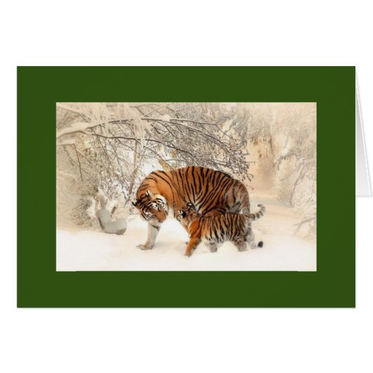 MADONNA UND KUB-TIGERE IN DER SCHNEEKARTE (Vorderseite (Horizontal))