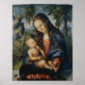 Madonna unter dem Tannenbaum, c.1510 Poster (Vorne)
