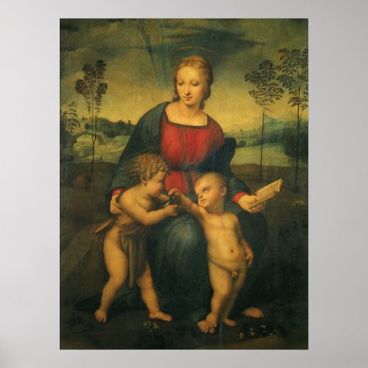 Madonna von Goldfinch von Raphael Sanzio Poster (Vorne)