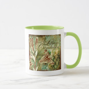 Madonnen-Lilie Tasse