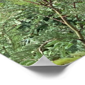 Madrid NM Bull Skull Red Chile ristra Poster (Ecke)