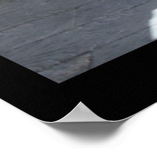 Madrid Street Print Poster (Ecke)