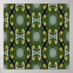 Madrone Spitzengarten....... Poster