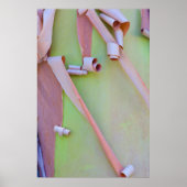 Madrone Tree Bark Abstrakt Poster (Vorne)