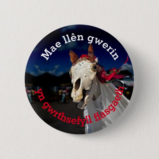 Mae llên gwerin yn gwrthsefyll ffasgaeth button (Vorderseite)