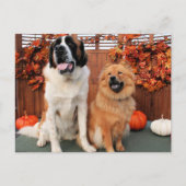 Mae - St Bernard and Cinny - Chow Chow Foto-4 Postkarte (Vorderseite)