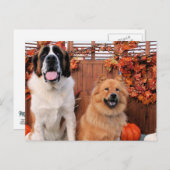 Mae St Bernard und Cinny Chow Foto-11 Postkarte (Vorne/Hinten)