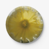 Maenade Pappteller (Vorderseite)