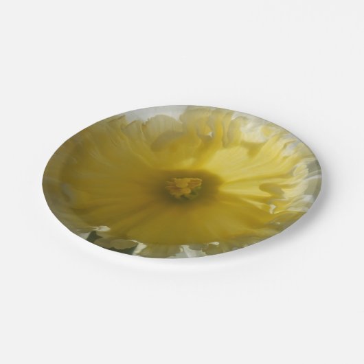 Maenade Pappteller (Schrägansicht)