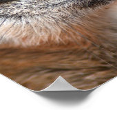 Maerkate Poster Print (Ecke)