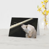 Maestro Karte (Gelbe Blume)