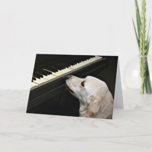 Maestro Karte