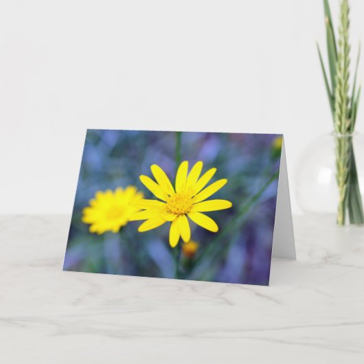 Mag Gott Ihnen Frieden geben (nach innen) Karte (Vorderseite)