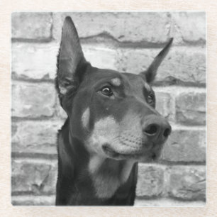 Mag ich Ihr Gesicht lecken Glasuntersetzer